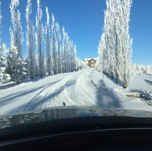 Meet your Posher, Lloyd